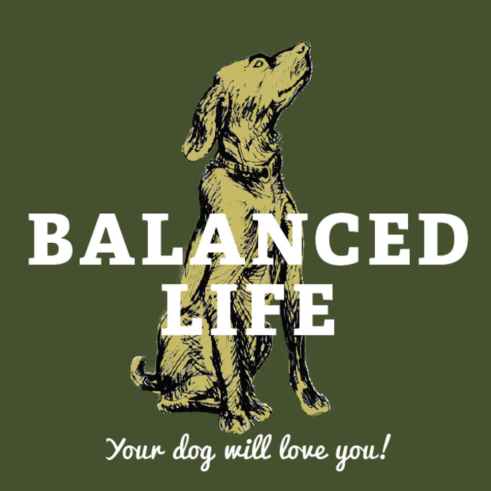 Balanced Life